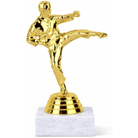 Férfi karate mini trófea márványon