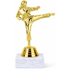 Női karate mini trófea márványon