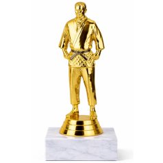 Férfi judo arany figura márványon