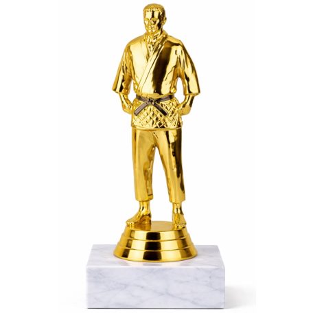 Férfi judo arany figura márványon