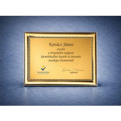 Egyedi céges plakett logóval