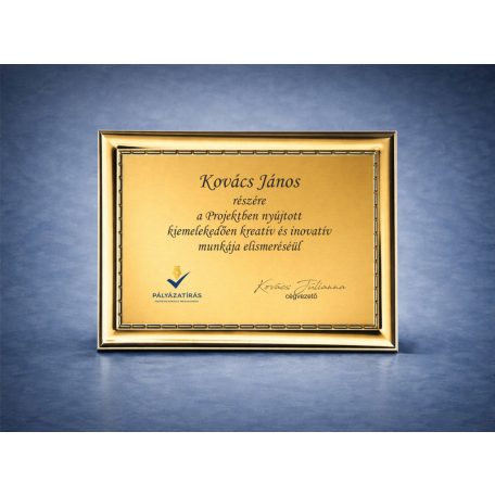 Egyedi céges plakett logóval