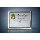 Ezüst színű plakett színes UV nyomattal