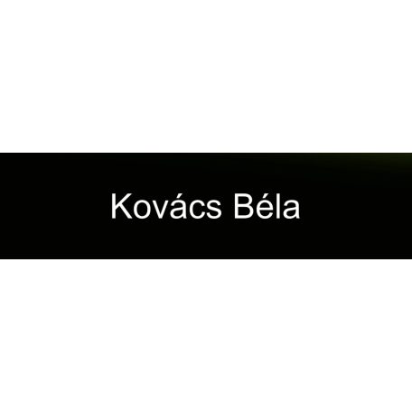 Gravírozott névtábla ajtóra - fekete műanyag                          