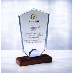 Gravírozható üvegdísz - LILLA1 21 cm dobozzal