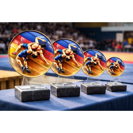 Birkózó díj plexiből 14 cm