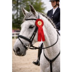 ROZETTA PIROS - Lóversenyre