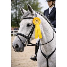 ROZETTA SÁRGA - Lóversenyre