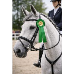 ROZETTA ZÖLD - Lóversenyre