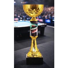 Biliárd serleg - SCS/A-BDX   H:35,5 cm