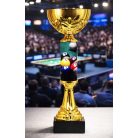 Biliárd serleg - SCS/C-BDY   H:30 cm