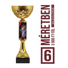 Halászléfőző verseny serleg - SCS/C-HAFOX   H:30 cm