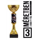 Birkózó serleg - SCS/D-BX   H:28 cm