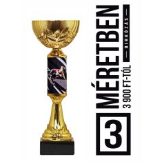 Birkózó serleg - SCS/D-BX   H:28 cm