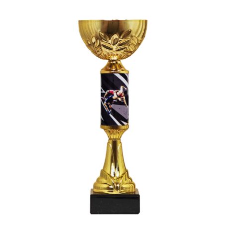 Birkózó serleg - SCS/D-BX   H:28 cm