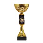 Főzőverseny serleg - SCS/D-FOW   H:28 cm