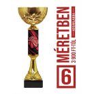 Kosárlabda serleg - SCS/D-KX   H:28 cm