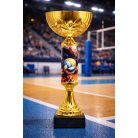 Röplabda serleg - SCS/E-RY   H:26 cm