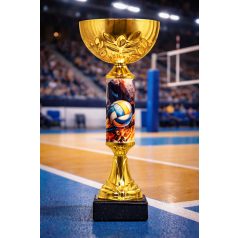 Röplabda serleg - SCS/E-RY   H:26 cm