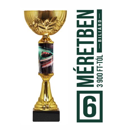 Biliárd serleg - SCS/F-BDX   H:22,5 cm