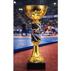 Birkózó serleg - SCS/F-BX   H:22,5 cm