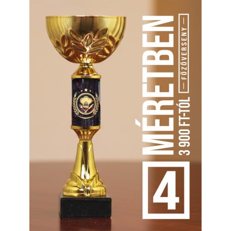Főzőverseny serleg - SCS/F-FOW   H:22,5 cm
