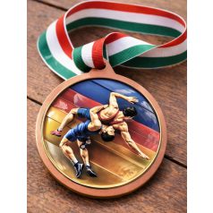 Birkózó érem szalaggal - bronz 70 mm