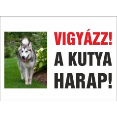 Vigyázz a kutya harap! SAJÁT FOTÓVAL