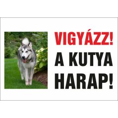 Vigyázz a kutya harap tábla SAJÁT FOTÓVAL