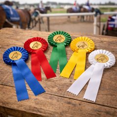 Lovas rozetták - díjszalagok